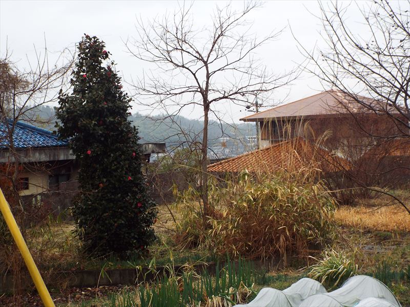 c0108198_1944259.jpg