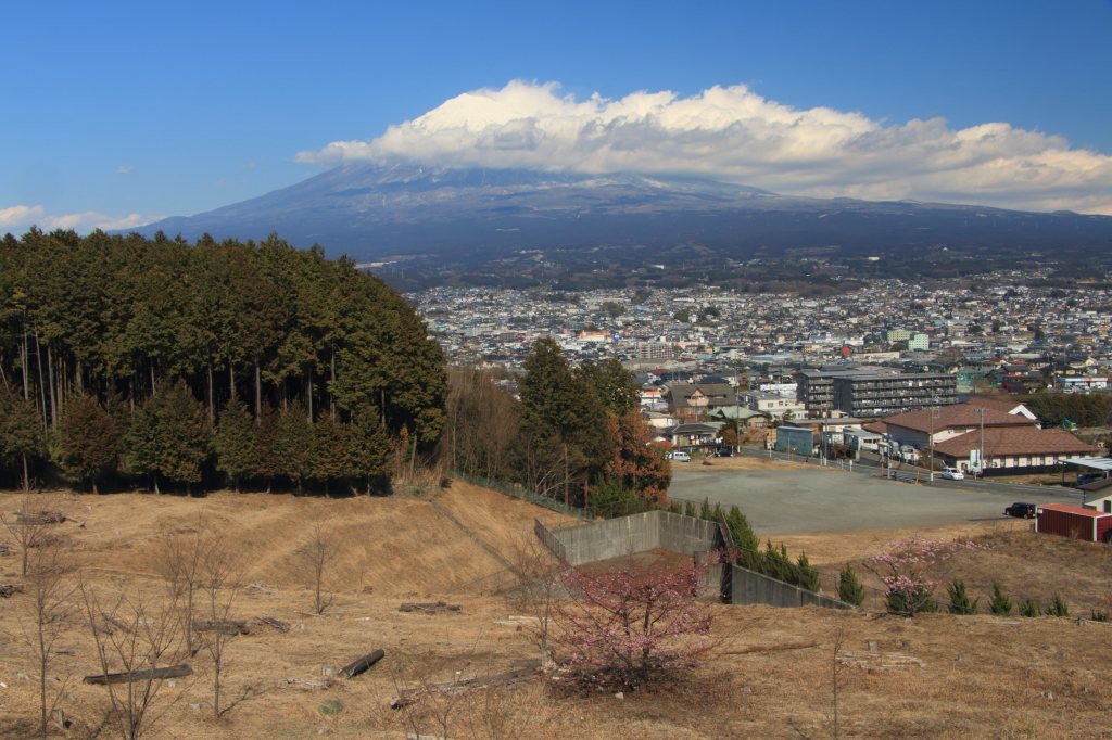 a0188405_13095029.jpg