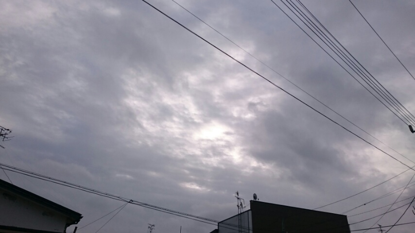 d0149105_7494694.jpg