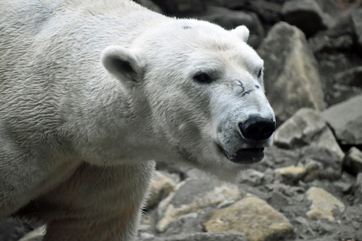 a0151913_20381289.jpg