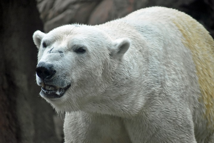 a0151913_20514869.jpg