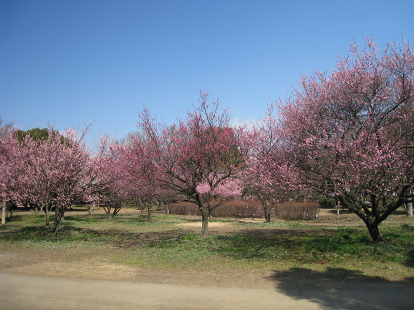 d0287413_0322262.jpg