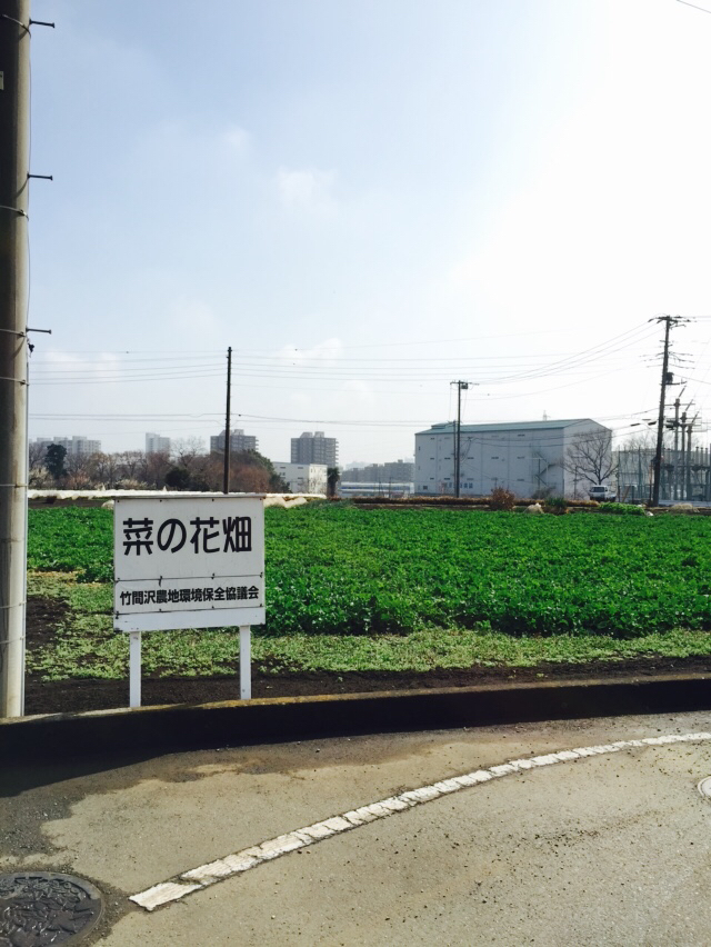 b0203925_23095116.jpg