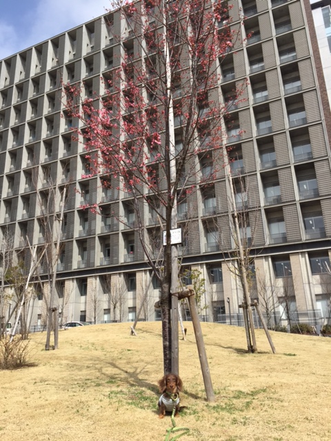 c0117831_17531461.jpg