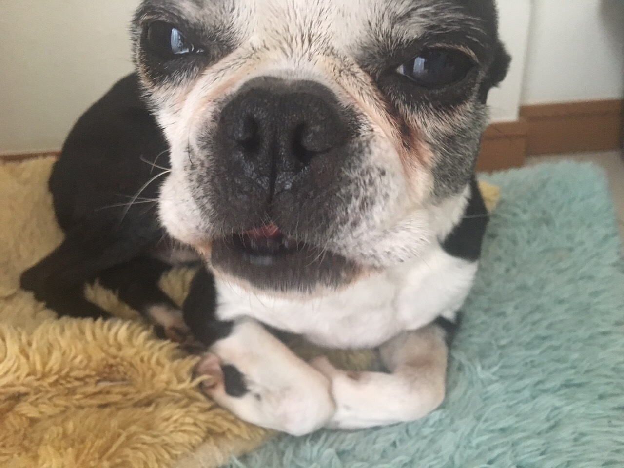 f0238932_00185662.jpeg
