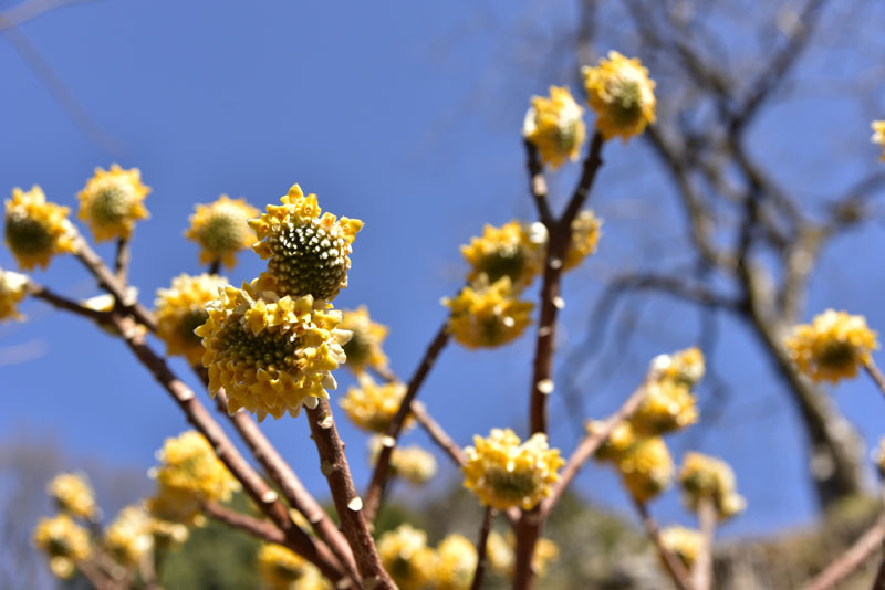 b0042837_6505982.jpg