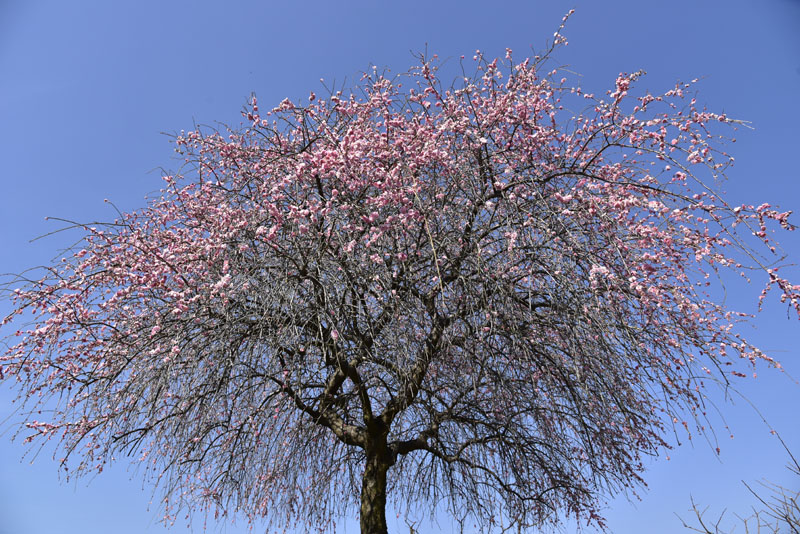 b0042837_652057.jpg