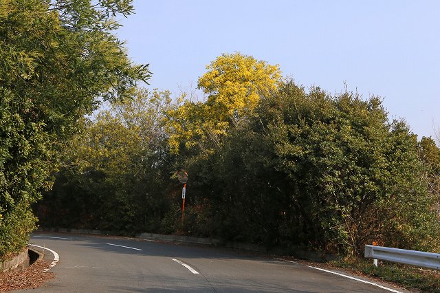 a0242438_20392516.jpg