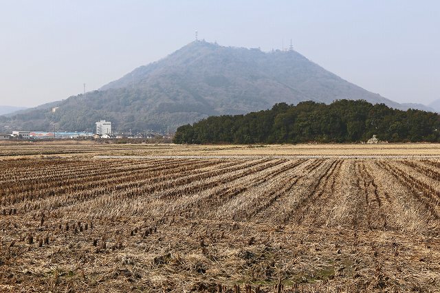 a0242438_20393647.jpg