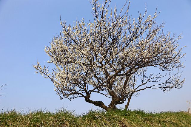 a0242438_20401770.jpg