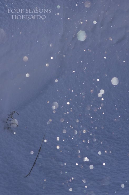 f0152939_19522676.jpg