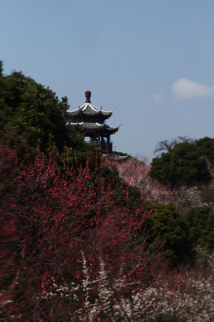 e0039744_1058077.jpg