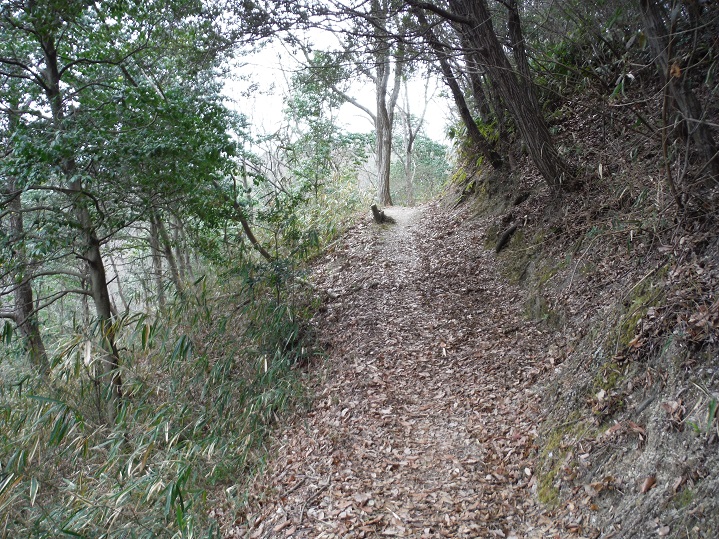a0237349_16365577.jpg
