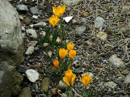 c0327752_14461620.jpg