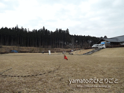 a0286855_12472350.gif