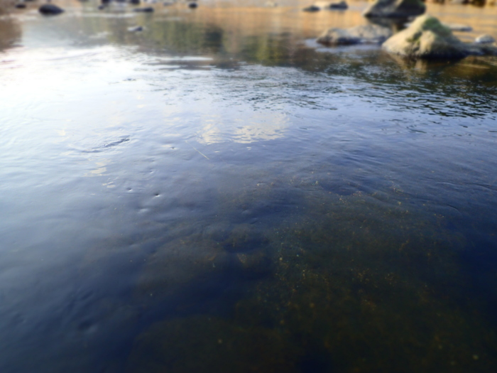 e0212759_2211432.jpg