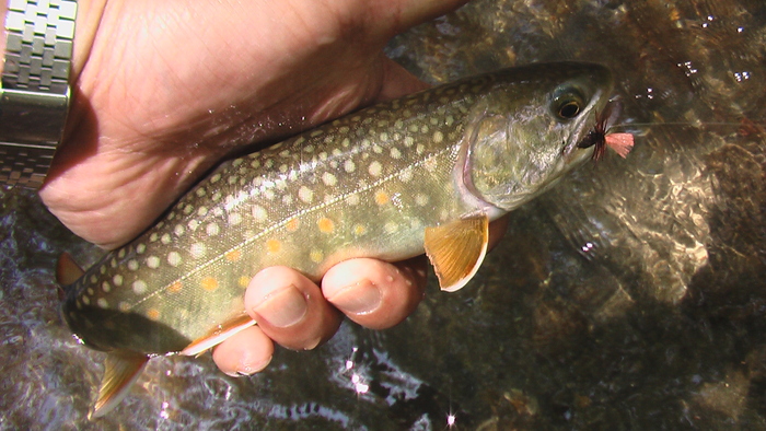 b0208961_1545653.jpg