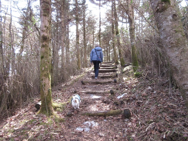 f0100871_11472518.jpg