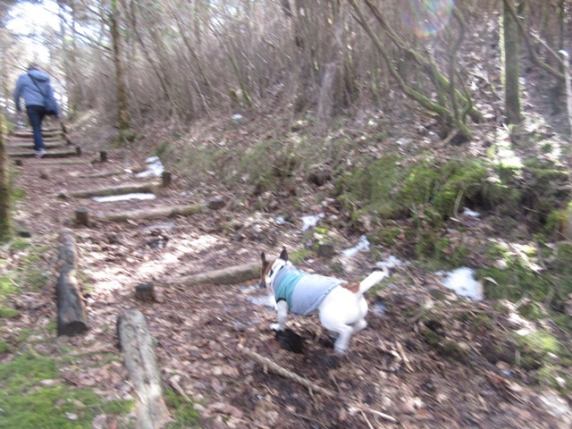 f0100871_12443792.jpg