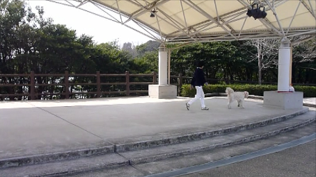 e0161972_211953.png