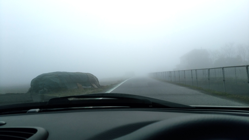 c0064678_1215299.jpg