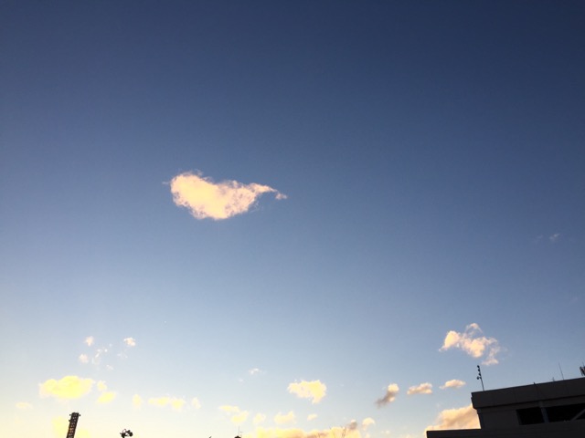 f0222387_20253852.jpg