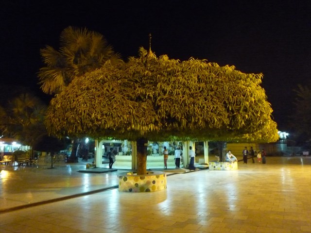 b0287088_16232815.jpg