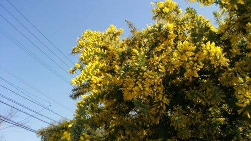a0292989_12512455.jpg