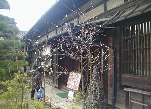 d0053294_19114.jpg