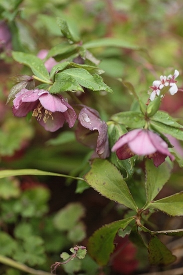 e0209997_2257447.jpg