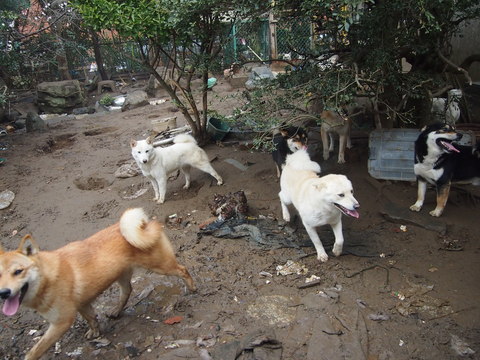 c0216000_20222048.jpg