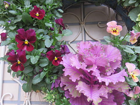 d0046702_11333244.jpg