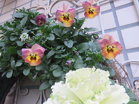 d0046702_11334756.jpg