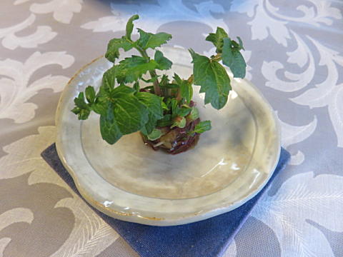 d0046702_12432949.jpg