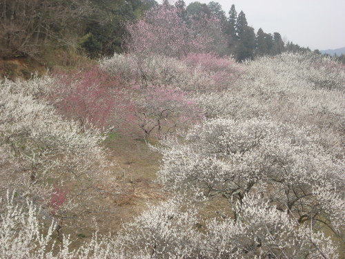 e0353802_16171853.jpg