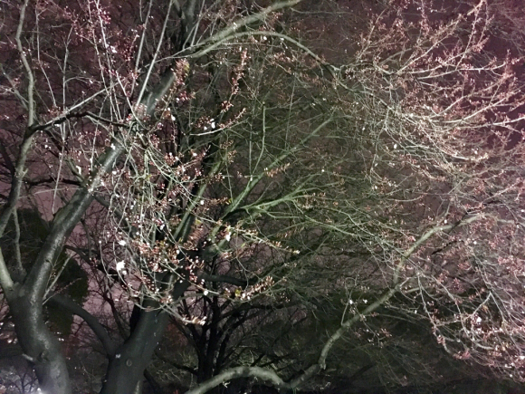 a0098418_22314336.jpg