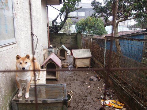 f0078320_133473.jpg