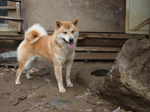 f0078320_1412226.jpg