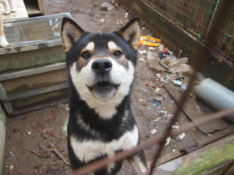 f0078320_14154890.jpg