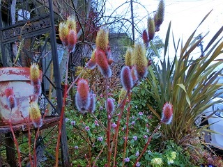 c0204121_6554314.jpg