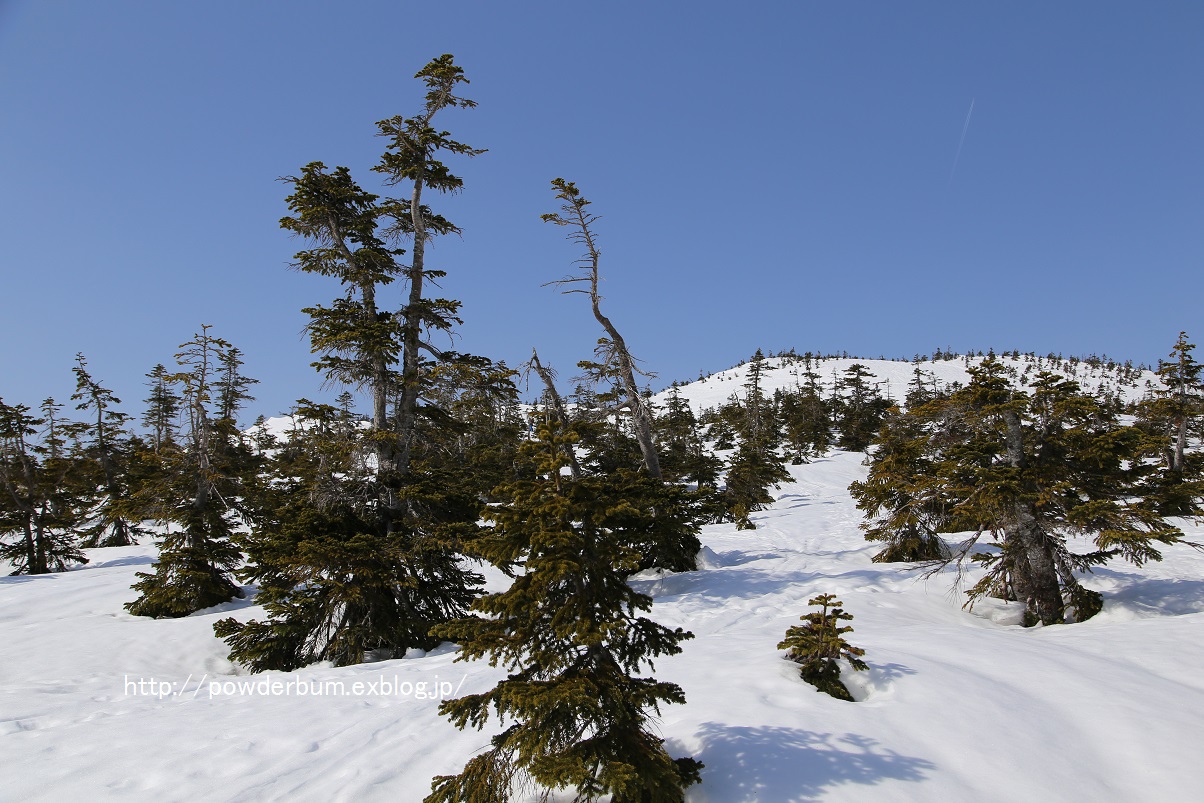 b0062024_904912.jpg