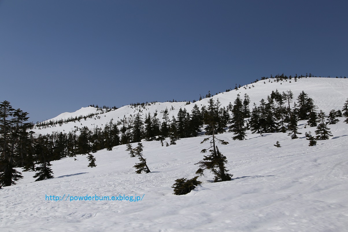 b0062024_913158.jpg