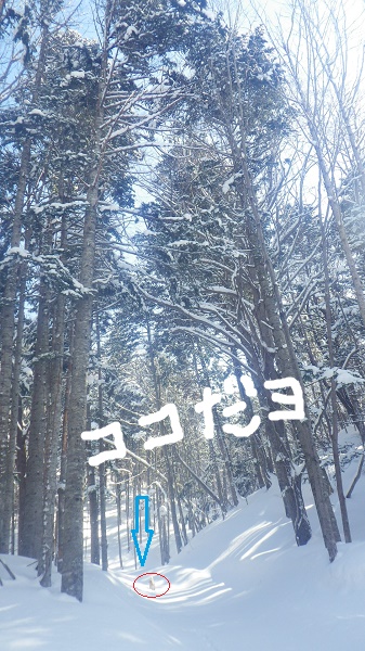 e0291827_20442523.jpg