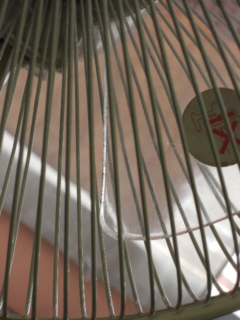 b0134233_8281899.jpg