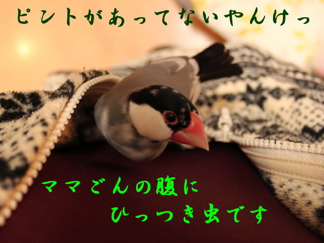c0365734_22234204.jpg