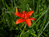 e0272335_19531889.jpg