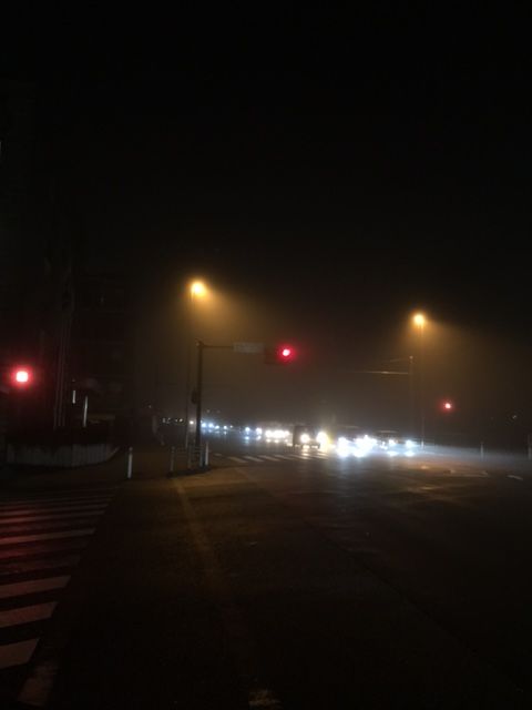 a0037043_2294615.jpg