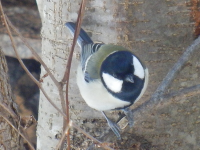 b0126549_17142946.jpg