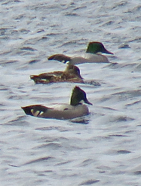 f0214649_5153639.jpg