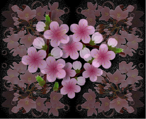 b0133752_15361451.gif